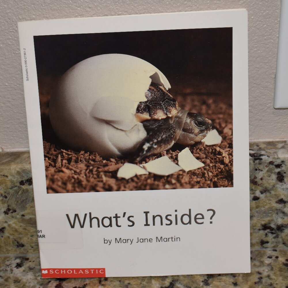 What's inside? (Beginning literacy) Unknown Binding – January 1, 1994